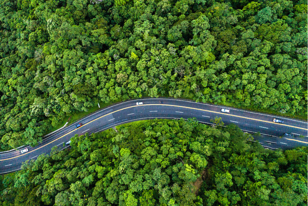 �̏Uȫ���{�������S�ɹ���������I(y��)���I(l��ng)�����S���C��Ҏ(gu��)����